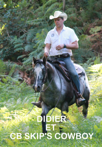 Ranch élevage chevaux Appaloosa, Morbihan 56