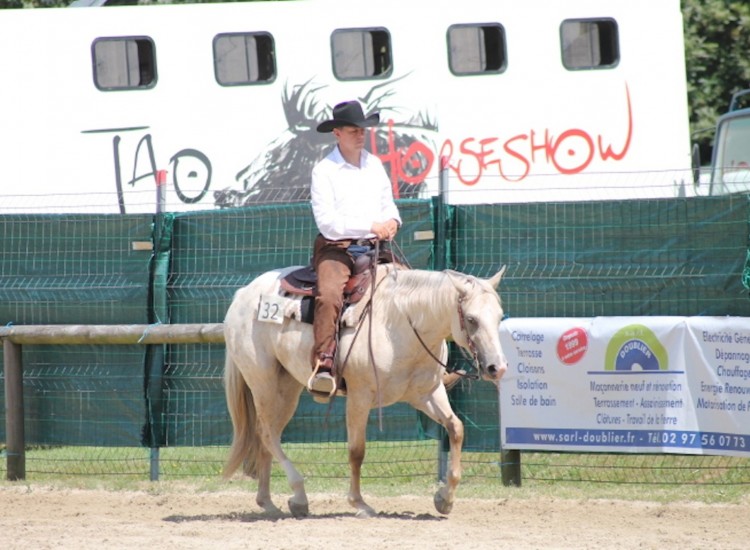 Elevage de chevaux Appaloosa DJ Ranch Morbihan