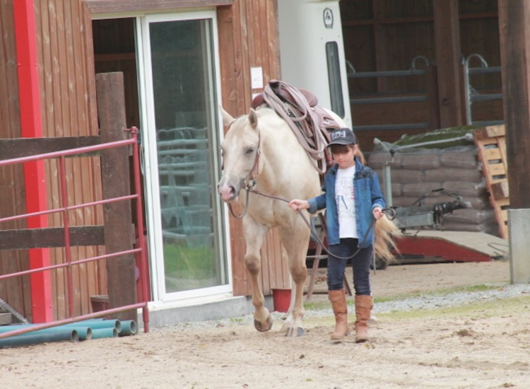 Elevage de chevaux Appaloosa DJ Ranch Morbihan
