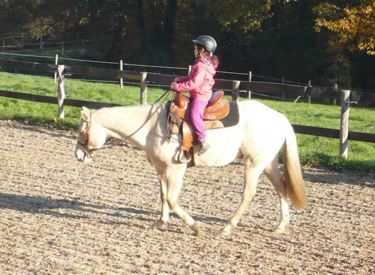 Elevage de chevaux Appaloosa DJ Ranch Morbihan