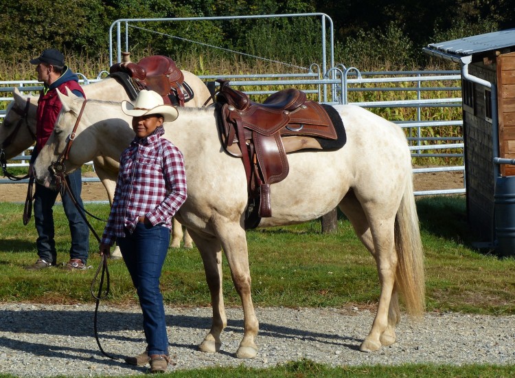 Elevage de chevaux Appaloosa DJ Ranch Morbihan