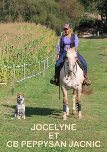 Ranch élevage chevaux Appaloosa, Morbihan 56