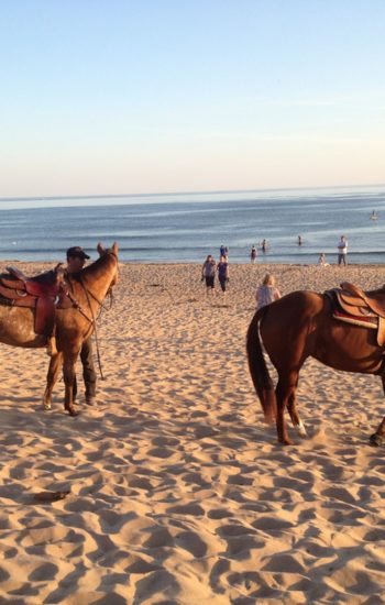 Deplacement a la plage avec le DJ APPALOOSA RANCH