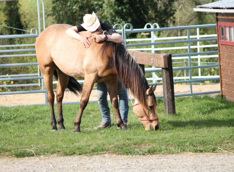 DJ LYNCO JAC AU DJ APPALOOSA RANCH