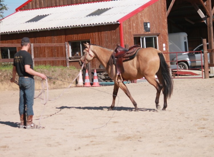 DJ LYNCO JAC au pré débourrage