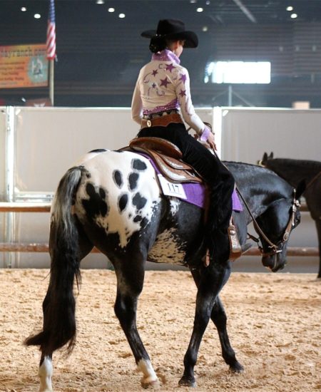 Skip du DJ APPALOOSA RANCH en concours Skip du DJ APPALOOSA RANCH en concours