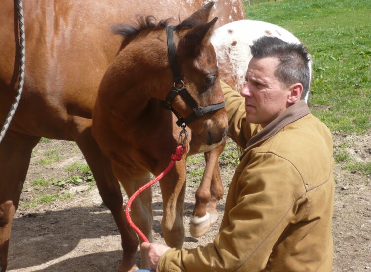 Indy Jac Flash au ranch