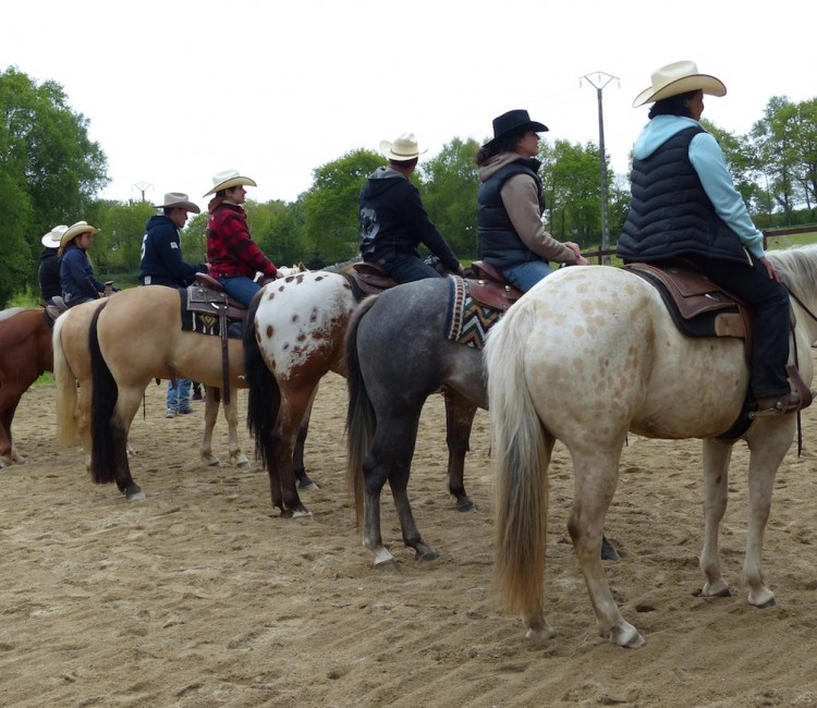 Un panel de couleur au DJ APPALOOSA RANCH