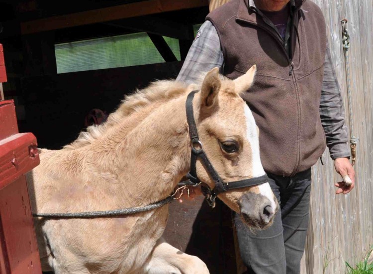 Première sortie en longe pour DJ HOLLY BY DRY
