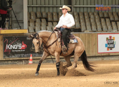 concours équitation western